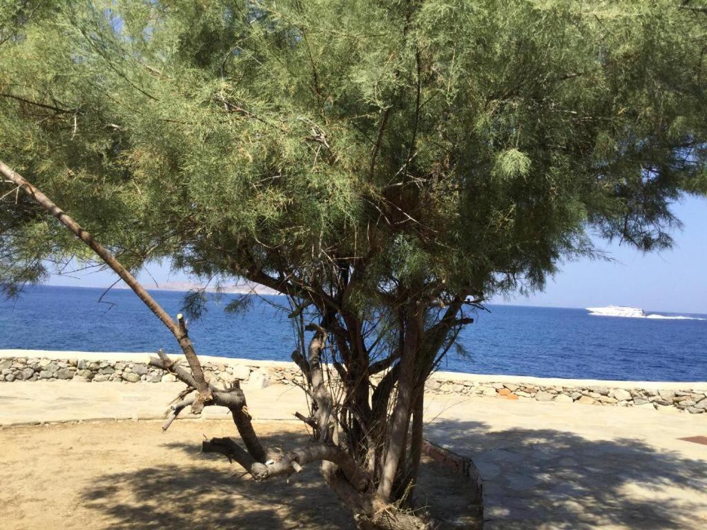 Poseidon Secret Blue Pools Hotel Ornos  Bagian luar foto